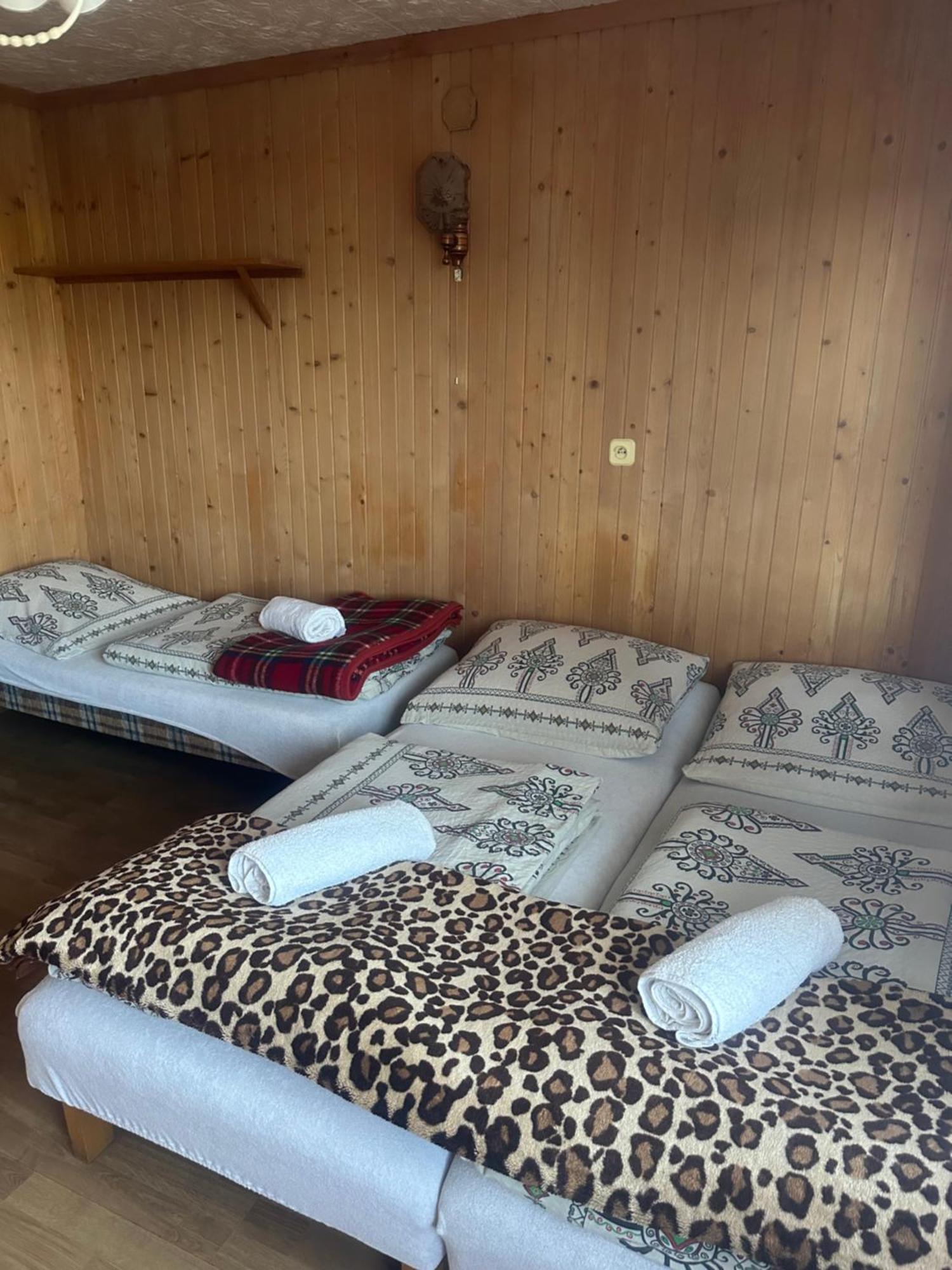Pokoje Goscinne U Zofii Bukowina Tatrzańska Exteriör bild